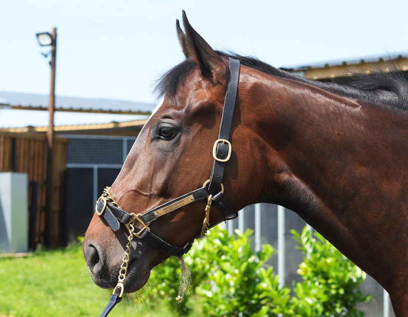 Bone Marra Pompey Ventures