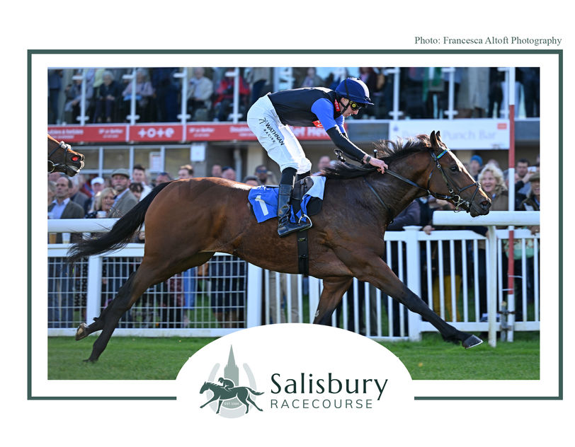 Bob Mali racehorse for pompey Ventures syndicates wins at Salisbury