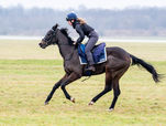 A New Chapter: Our First Two Year Old Syndicate with Classic-Winning Trainer George Boughey