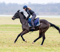 Ten Sovereigns