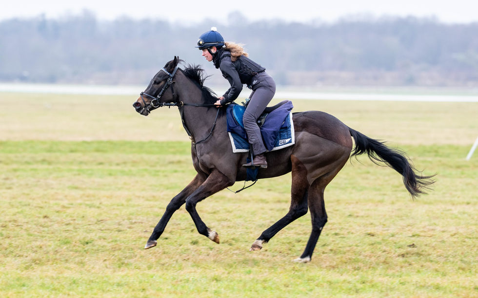 Ten Sovereigns Filly in training with George Boughey for Pompey Ventures