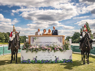 Goffs London Sale