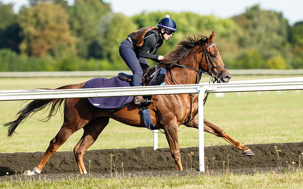 Oliver Show Racehorse Pompey Ventures