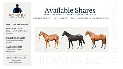 Brochure Preview Web