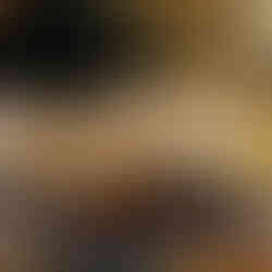 Pompey Ventures Open Yard Morning