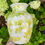 Thumbnail: Juliana Vase