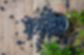 Brisbane Naturopath Kristina Staats.jpg