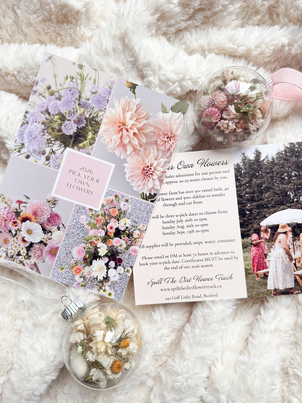 Pick Your Own Flowers Gift Certificate