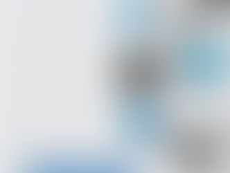 Thailand One Health Implementation 2017