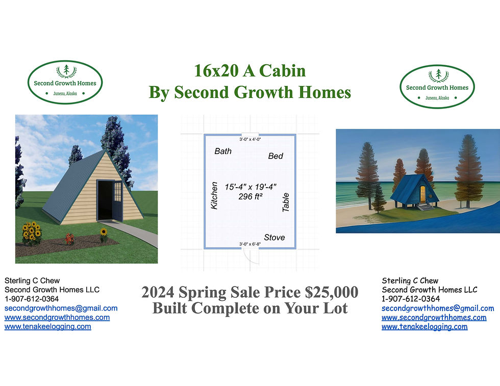 16x20 A Cabin1