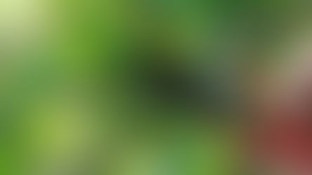 Apabila Tuhan Menghantar Teguran Melalui Kesukaran