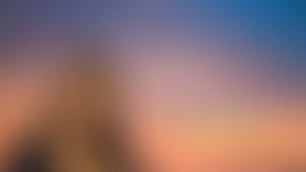 Tetap Bersemangat Menjalani Hidup