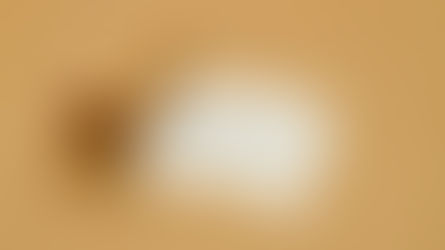 Apakah itu whistleblower?