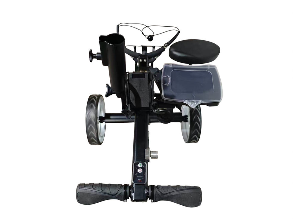 Thumbnail: PGL: 400W Motors E-Cart With Remote Control