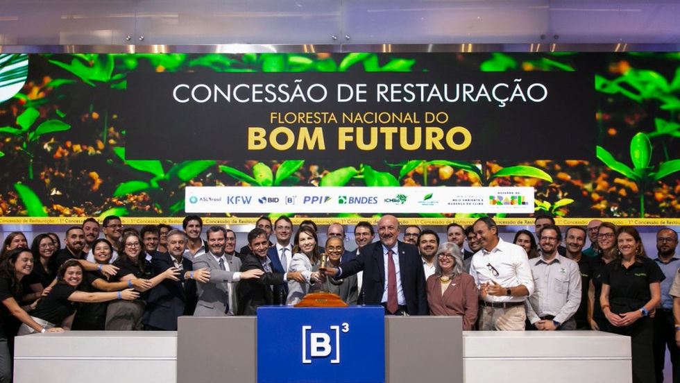 Serviço Florestal Brasileiro realiza leilão da primeira concessão de restauração florestal do País; Re.green arremata lote