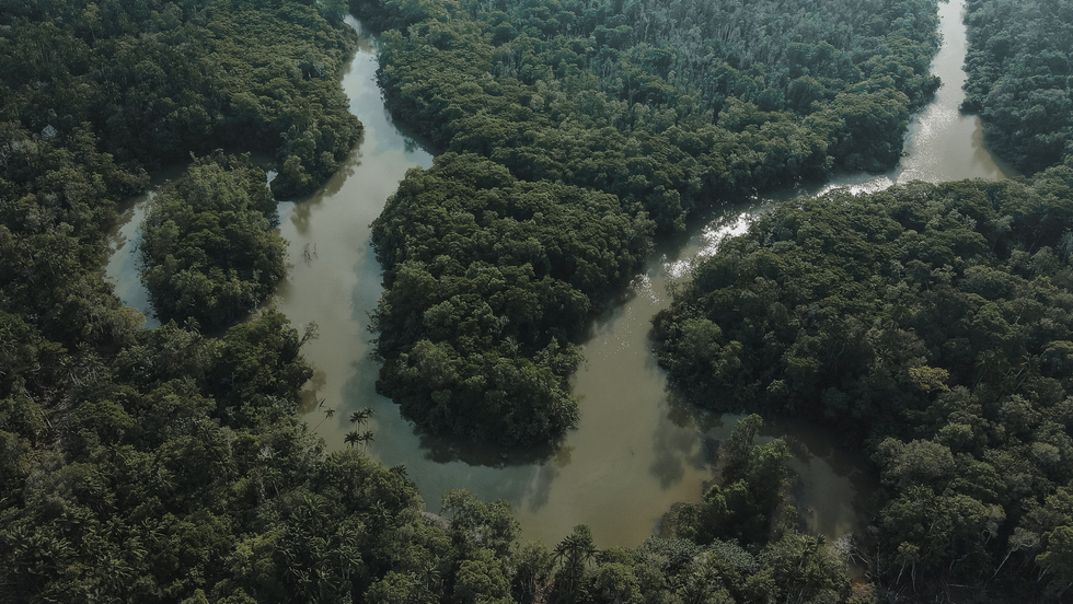 Amazonas prepara primeira concessão florestal estadual com apoio técnico do Imaflora e do Serviço Florestal Brasileiro