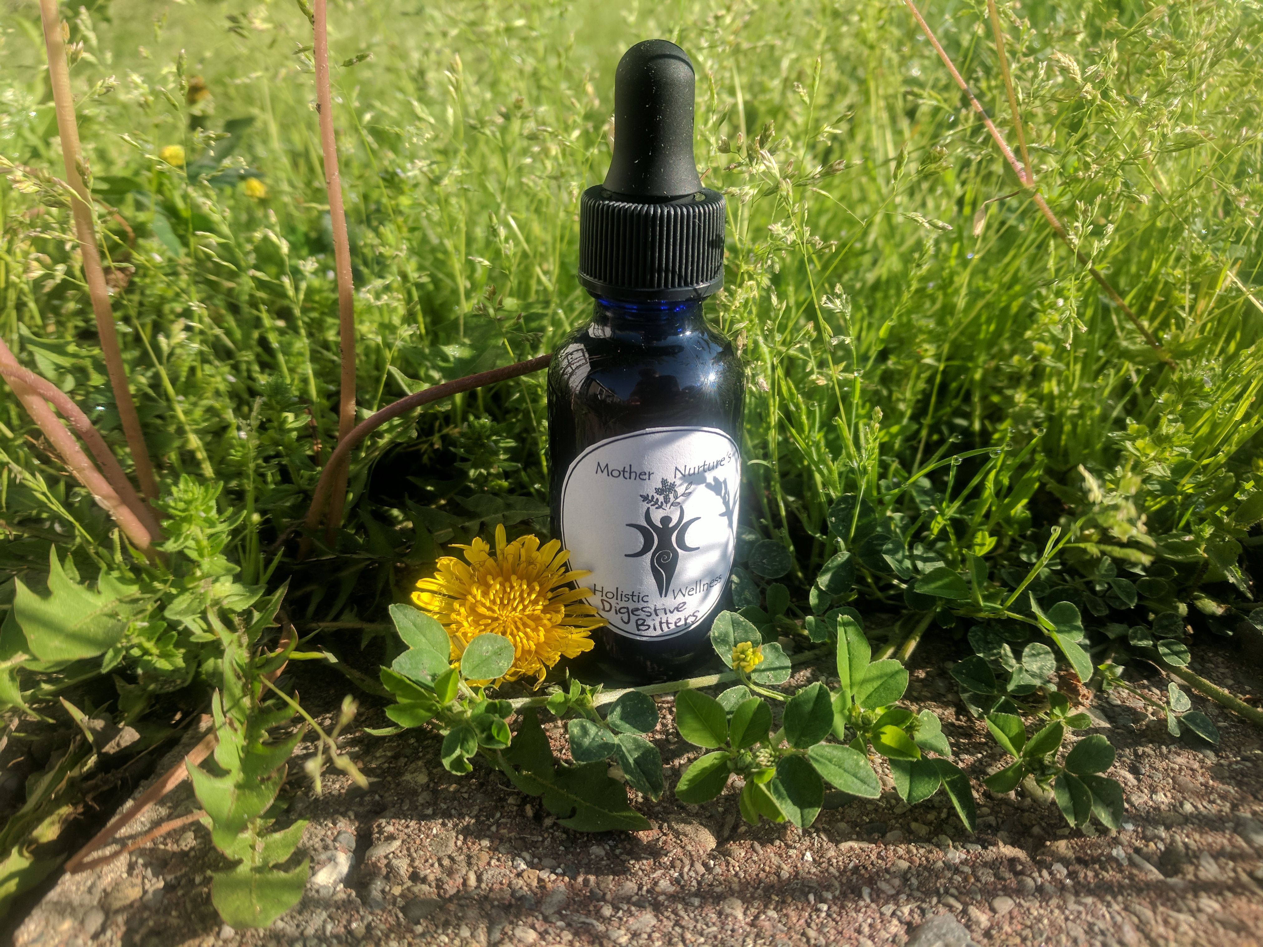 Dandelion & Orange Spice Digestive Bitters