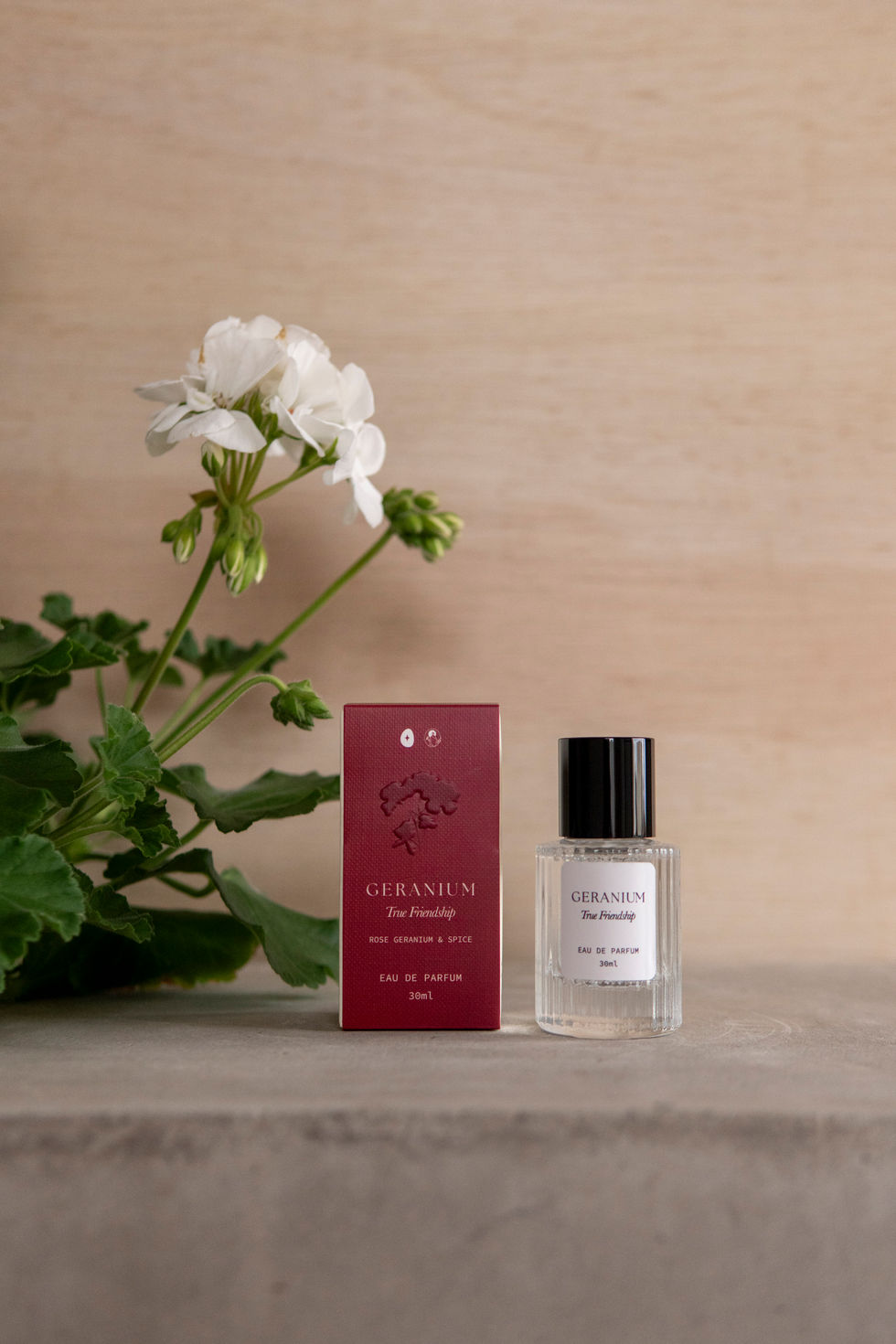 Studio Sol Fragrance-136 (1)