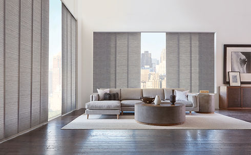 2017_SKY_PV_Maya_Living Room.jpeg