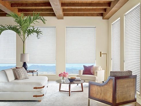 2020_SON_CC Std Bkt_Thatcher_Living Room After.jpeg