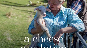 LIVING Hawke's Bay Magazine Feature Article