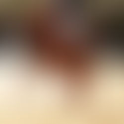 Welcome to the new Dressage HB