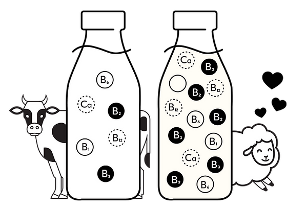 sheepmilkdifference.png