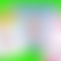 お得！ほていや公式LINE
