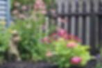 Garden flowers