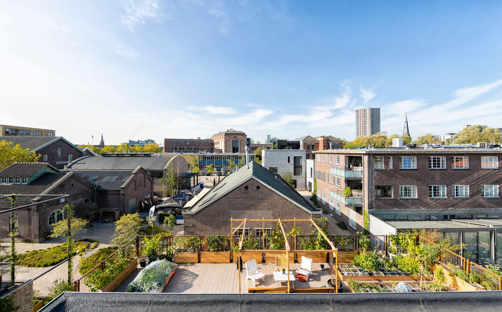 2020_Dakterrasgebouw9_Marie Louise Nijsing.jpg