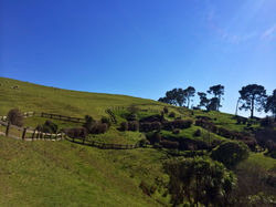 The Shire
