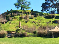 View of Bag End from the Party Field