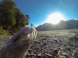 Ryan's Artistic Log Shot