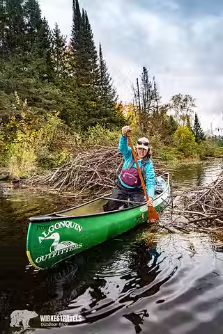 Algonquin Canoe Canada Beaver Dam