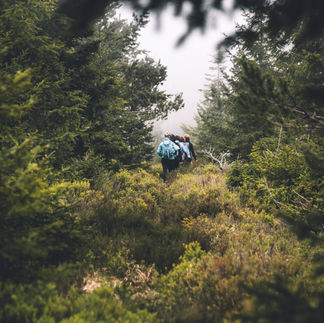 Hiking in the Black Forest Germany
