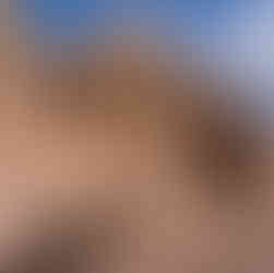 Das Kloster Ed-Deir Jordanien