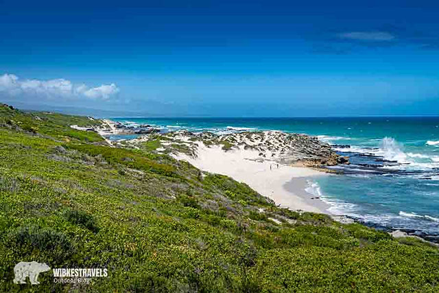 De Hoop Reserve Whale Trail Südafrika Küste Meer Whale Watching