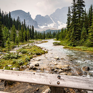 Paradise Valley Sentinel Pass River Hike Banff National Park Canada Lake Moraine Louise