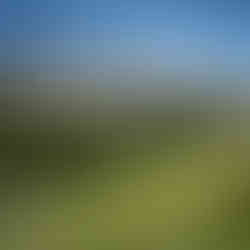 Mountain panorama with snow and flowers River crossing hike to Burstall Pass/Peter Lougheed Provincial Park Canada