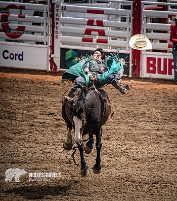 Rodeo Cowboy Hut Pferd Stampede Calgary Kanada
