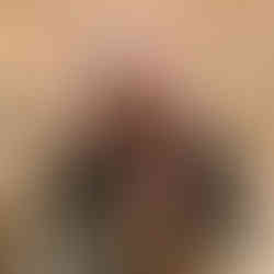 Beduine Jordanien Kamel Esel