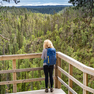 The Forest and I in Finland