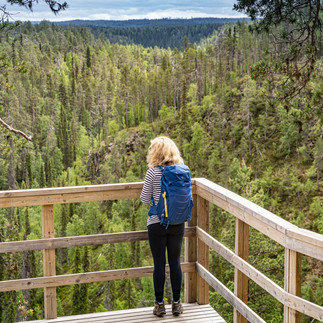 der Wald und ich in Finland