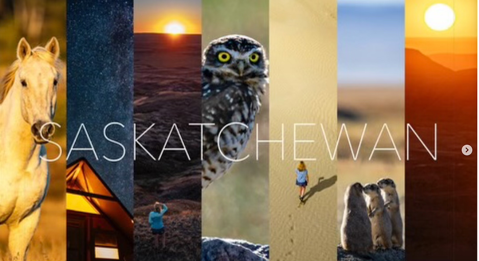 Saskatchewan Kanada Prärie Pferde eule Sterne badlands Dünen präriehunde Sonnenuntergang Split Screen