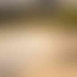 Anse Grande Grenada Caribbean sunset