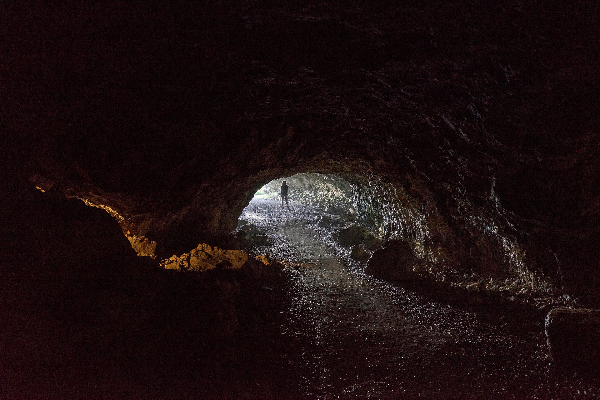 DSC00884