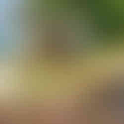 Wanderung von Rozel nach Bonne Nuit auf der Kanal Insel Jersey. Der Küstenweg führt immer an der Steilküste entlang