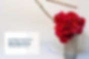 Inspirational Ikebana (Holiday)
