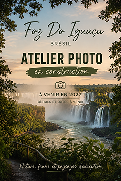 ChatGPT Image 17 août 2026 à 09_59_42.png