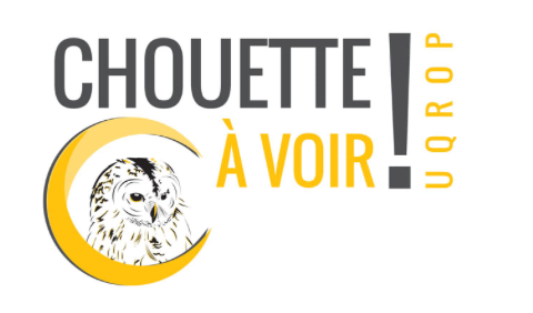 Les Artistes s'invitent à Chouette à voir